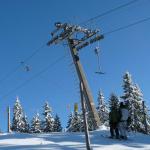 Le Chenit-Le Brassus (Vallee de Joux) am 8.2.2010