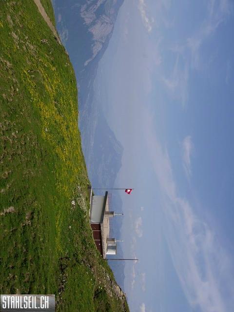k-P7310060.JPG