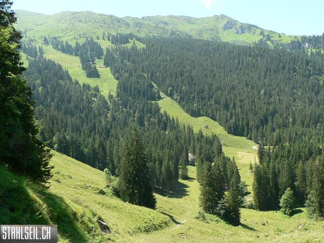 k-P1710582.JPG