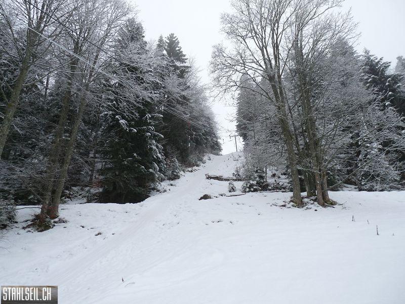 k-P1000946.JPG