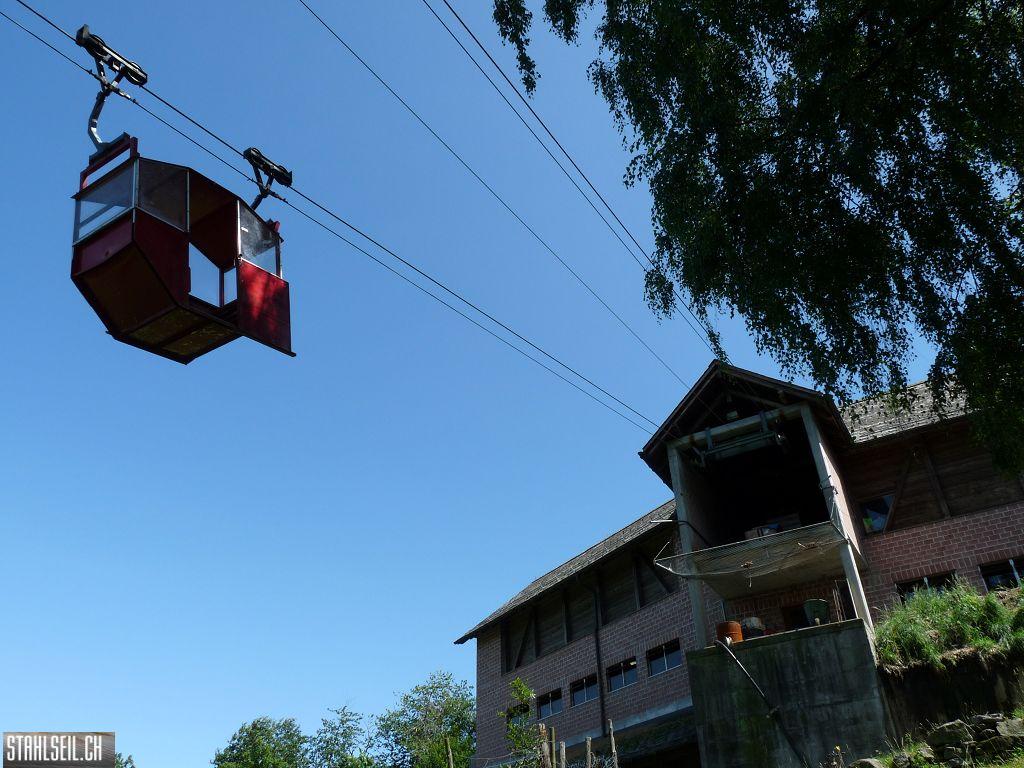 k-P1170584.JPG