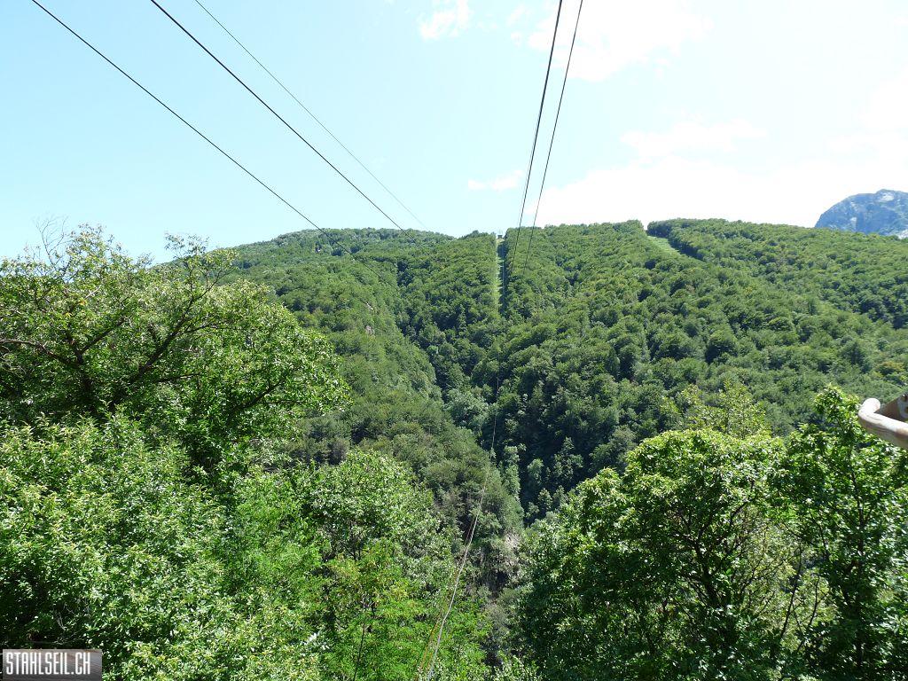 k-P1170525.JPG