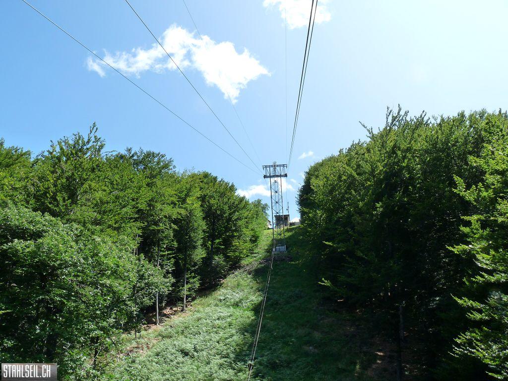 k-P1170533.JPG