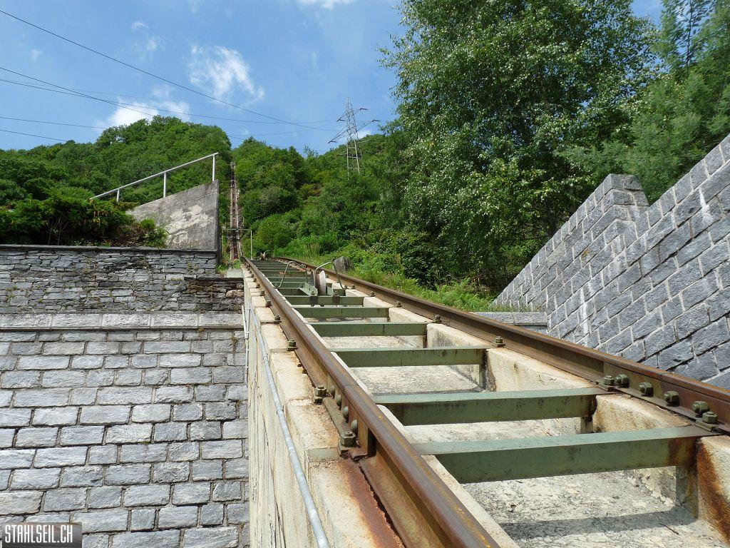k-P1170392.JPG