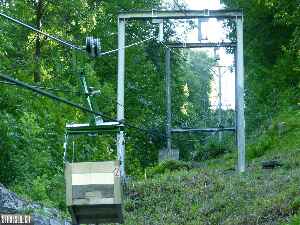 k-P1140088.JPG