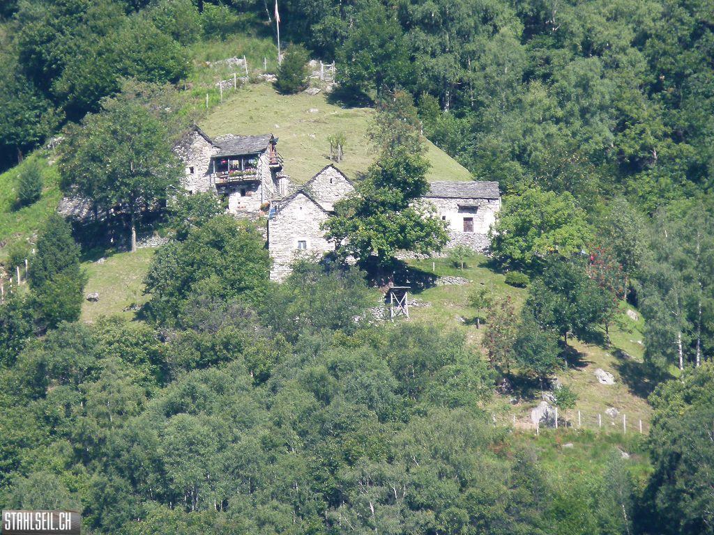 k-P1140093.JPG