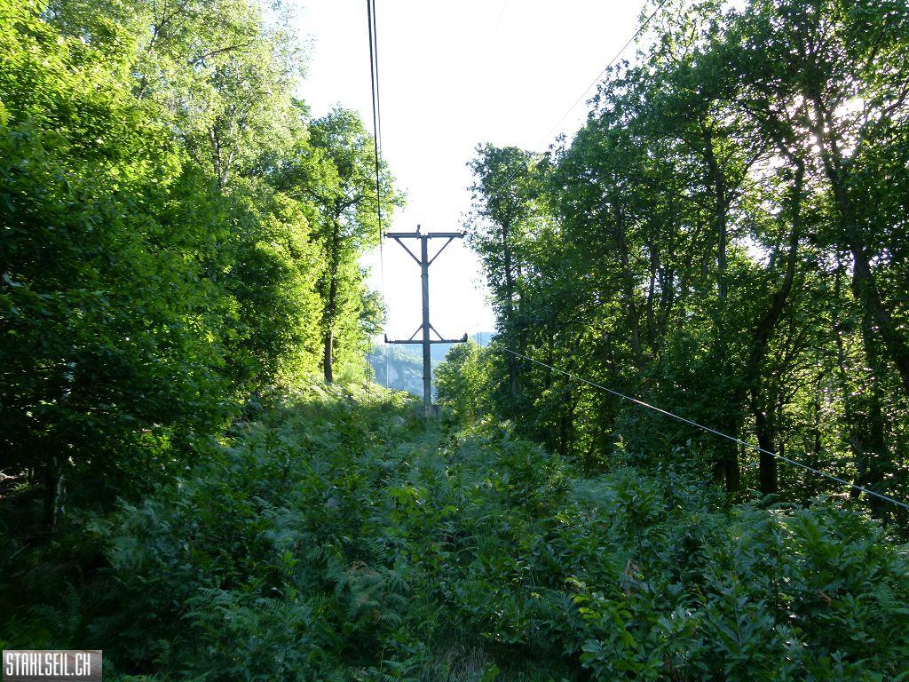 k-P1140123.JPG