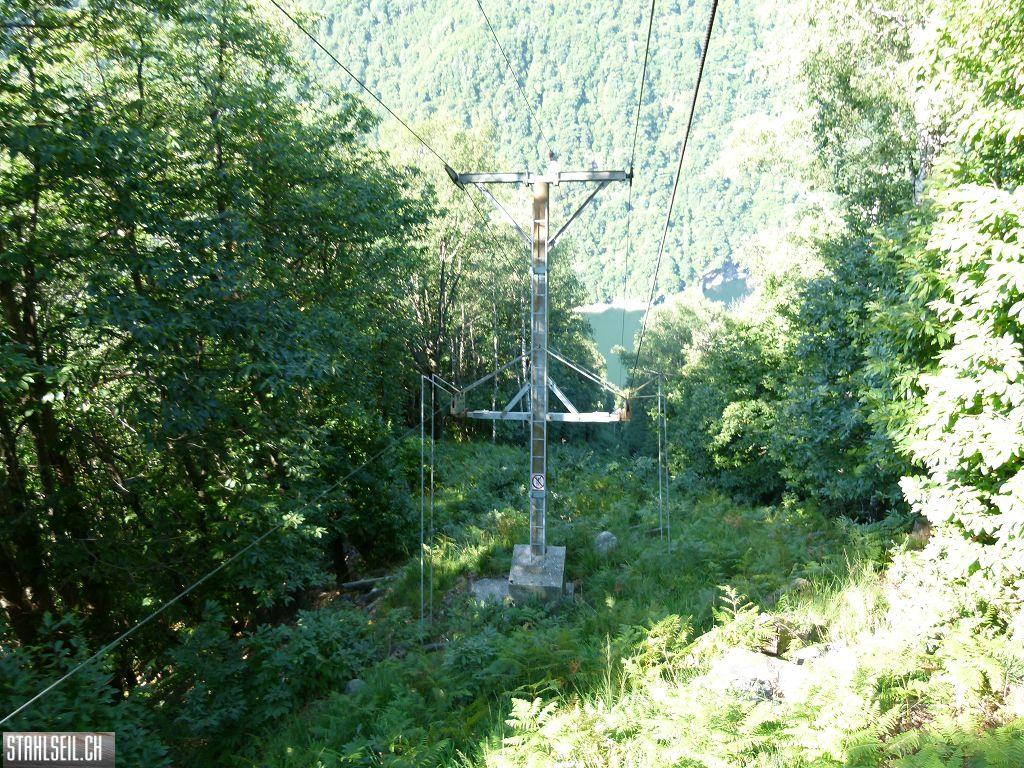 k-P1140127.JPG