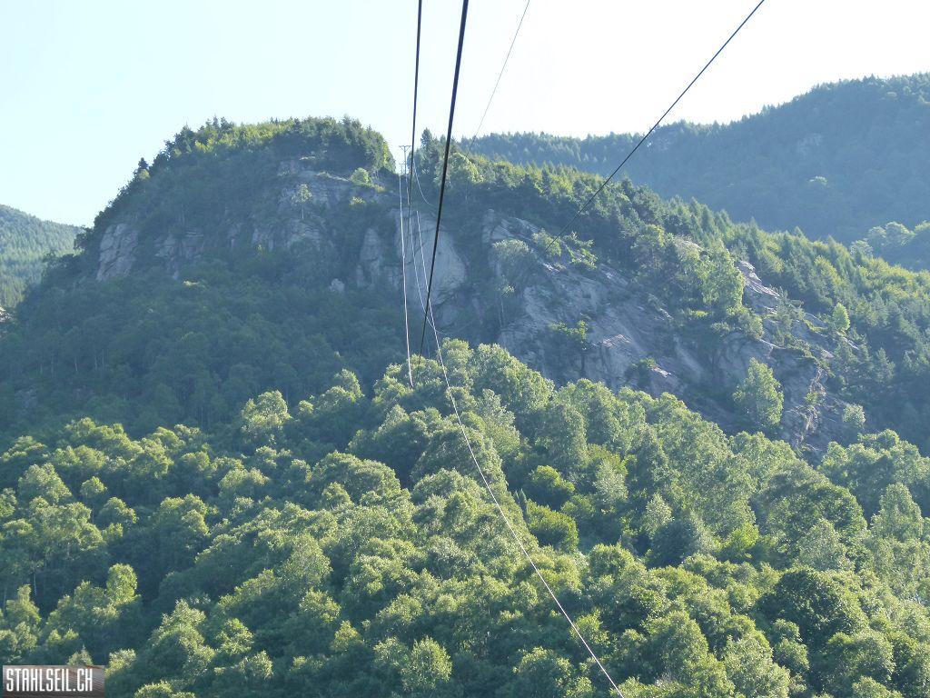 k-P1140136.JPG