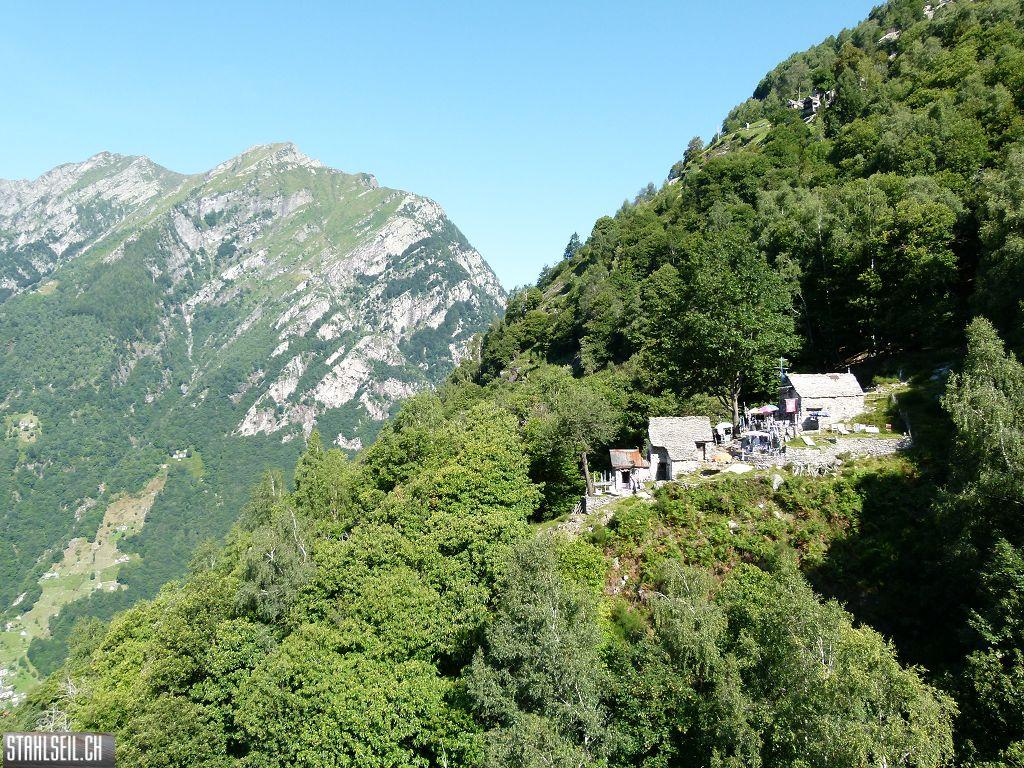 k-P1140139.JPG