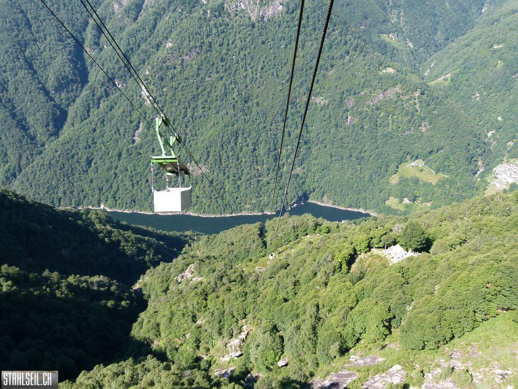 k-P1140150.JPG