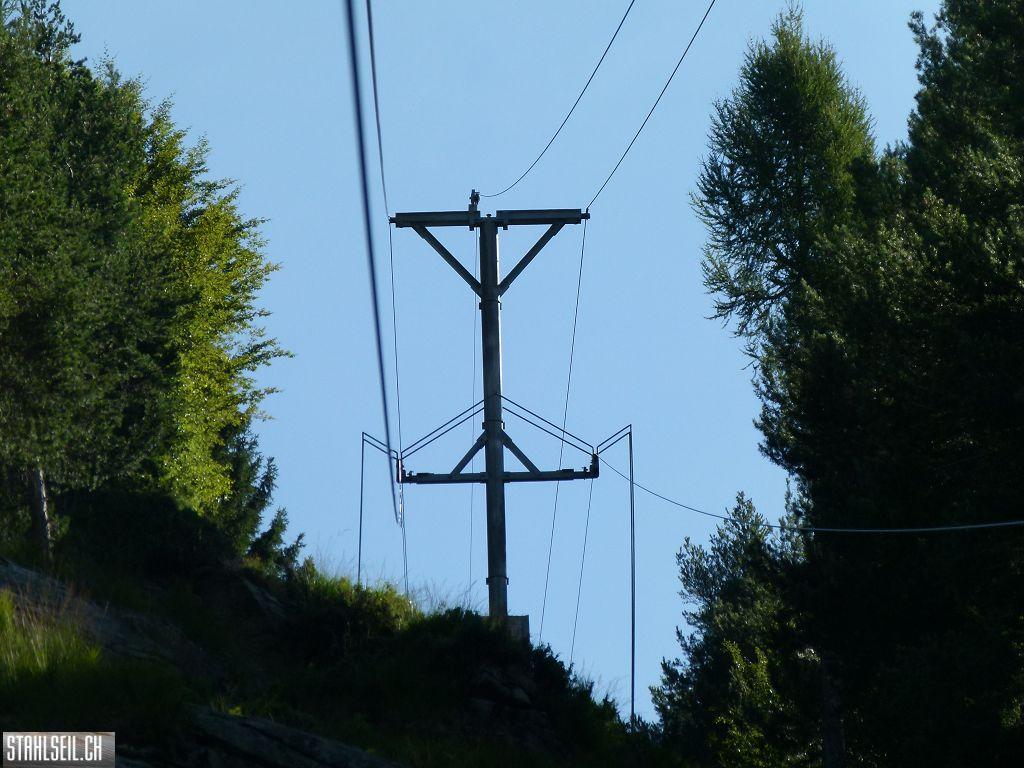 k-P1140155.JPG