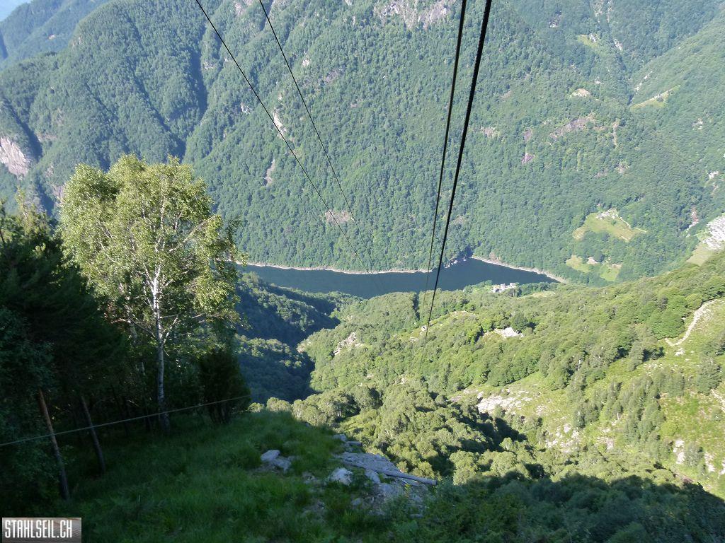 k-P1140158.JPG