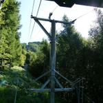 k-P1140164.JPG