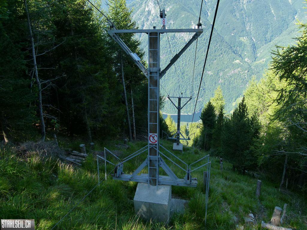 k-P1140184.JPG