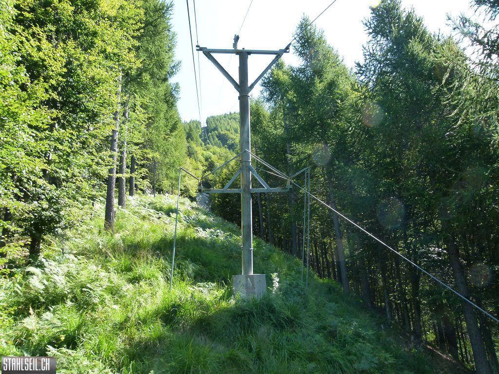 k-P1140303.JPG