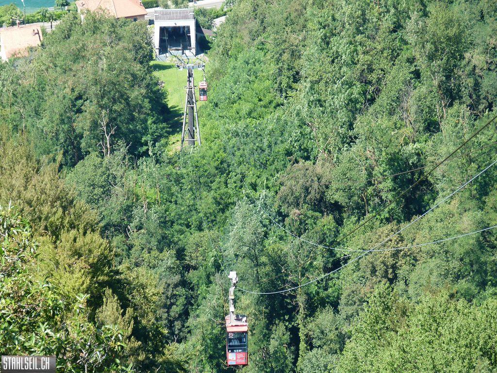 k-P1130789.JPG