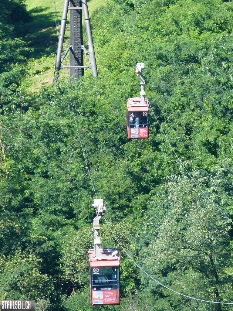 k-P1130793.JPG