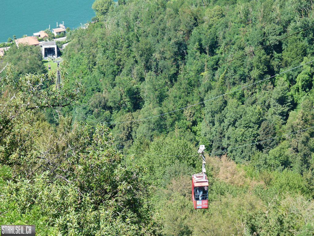k-P1130799.JPG