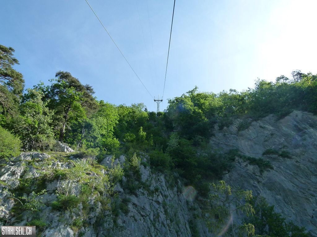 k-P1110971.JPG