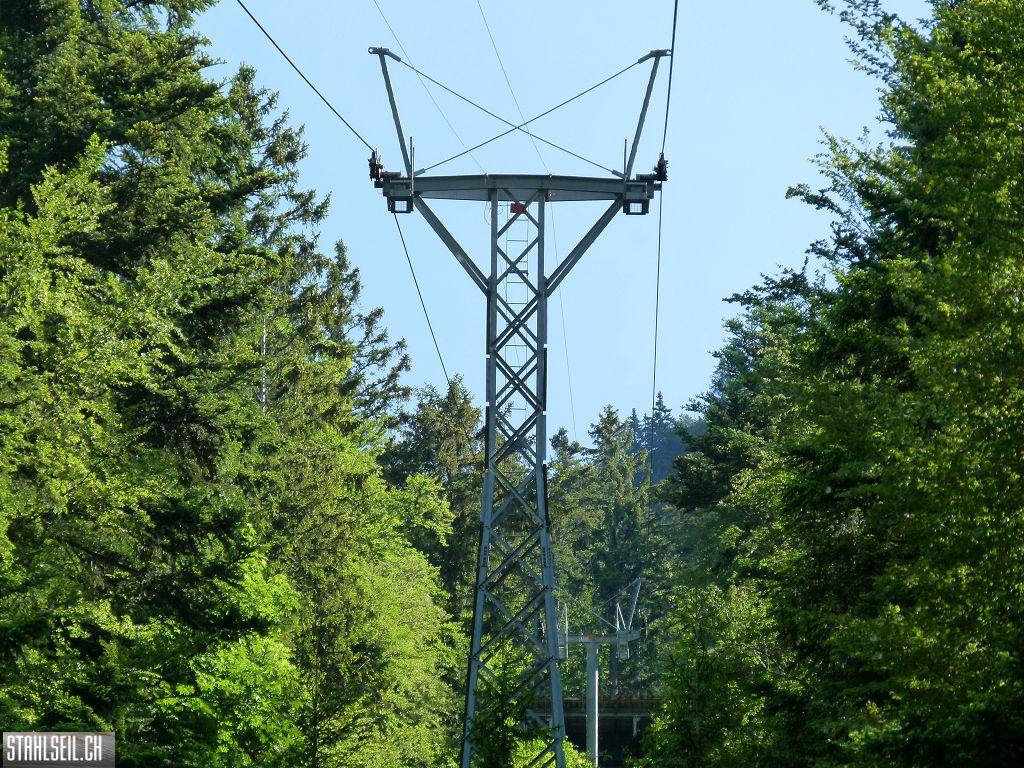 k-P1110978.JPG