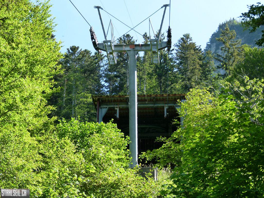 k-P1110985.JPG