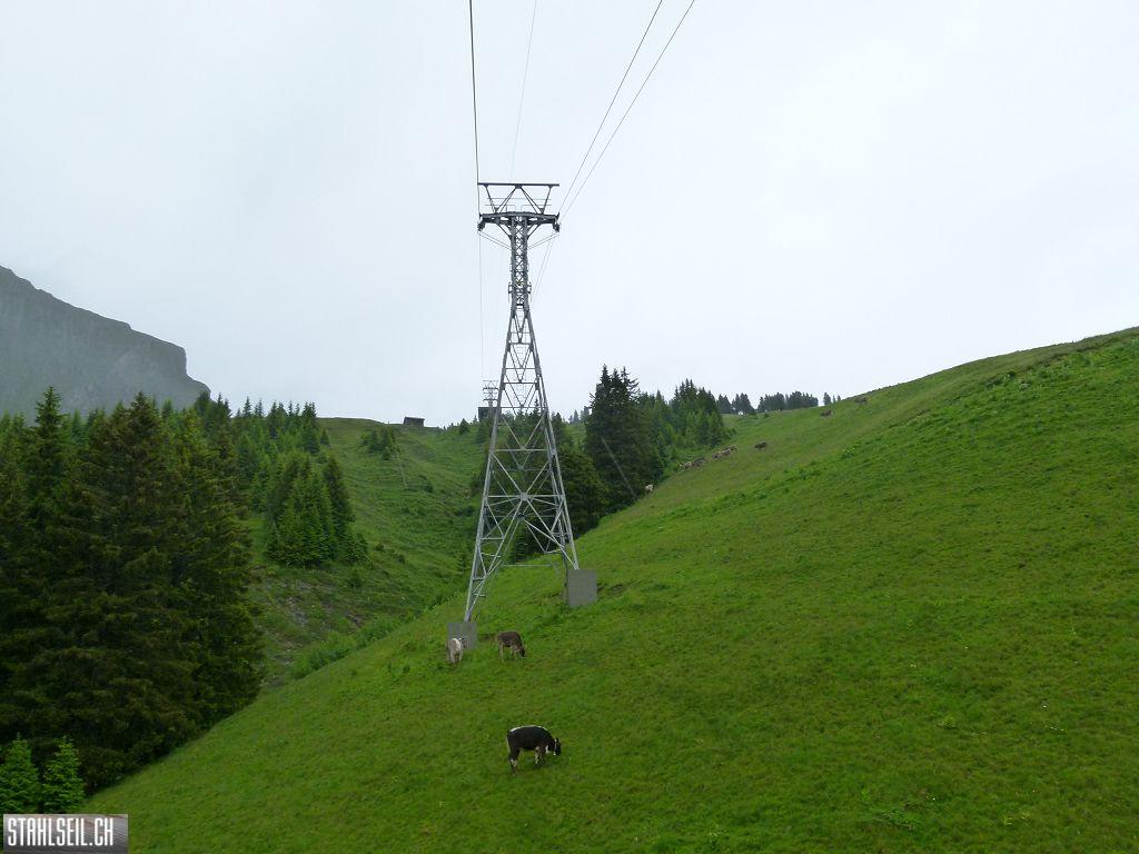 k-P1120826.JPG