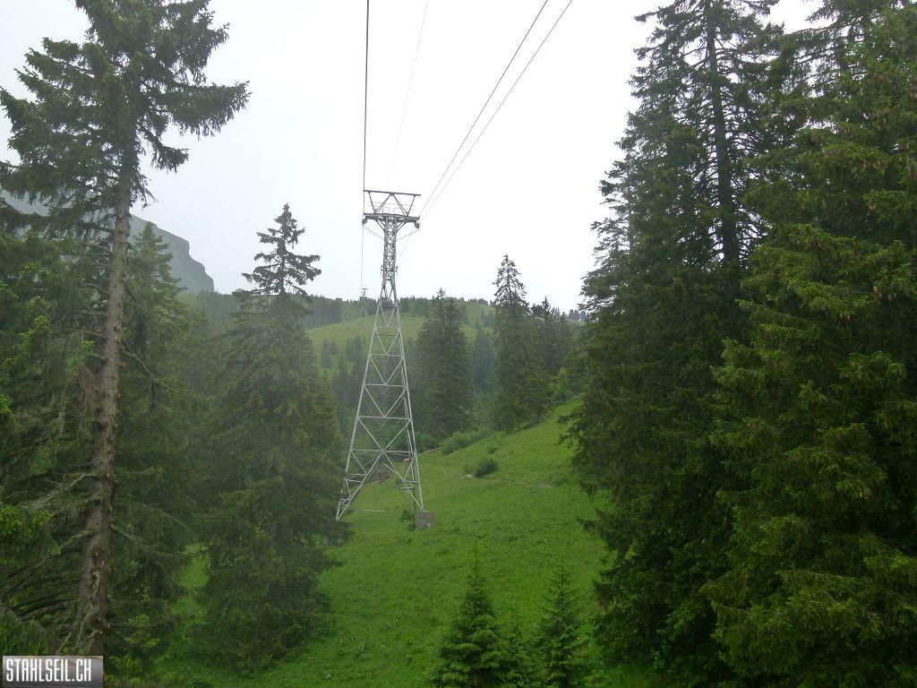 k-P1120823.JPG