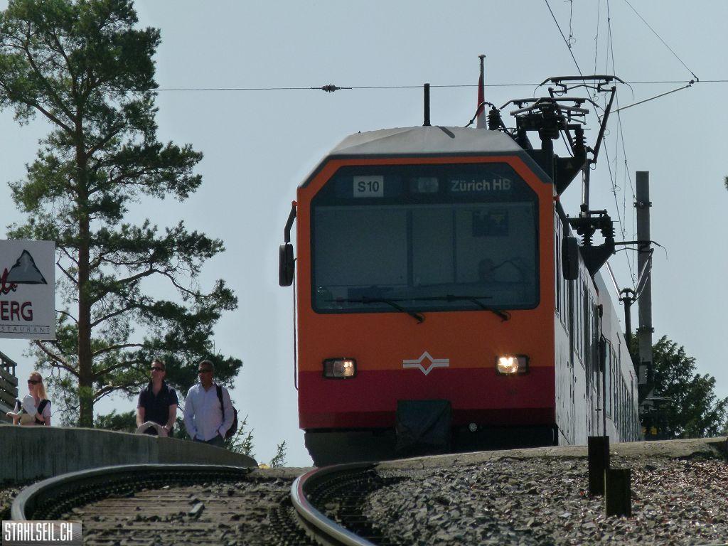 k-P1090959.JPG