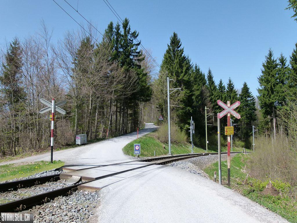 k-P1090965.JPG