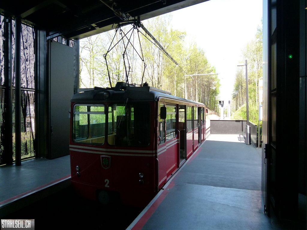 k-P1090866.JPG