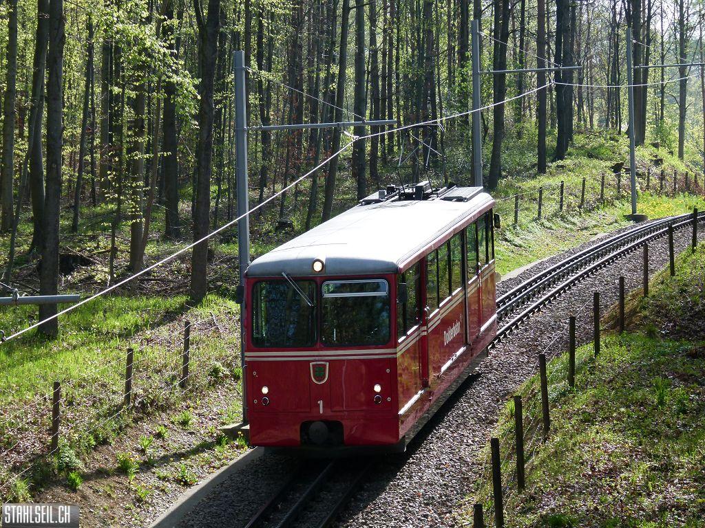 k-P1090870.JPG