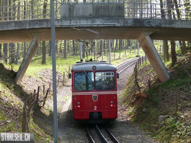 k-P1090883.JPG