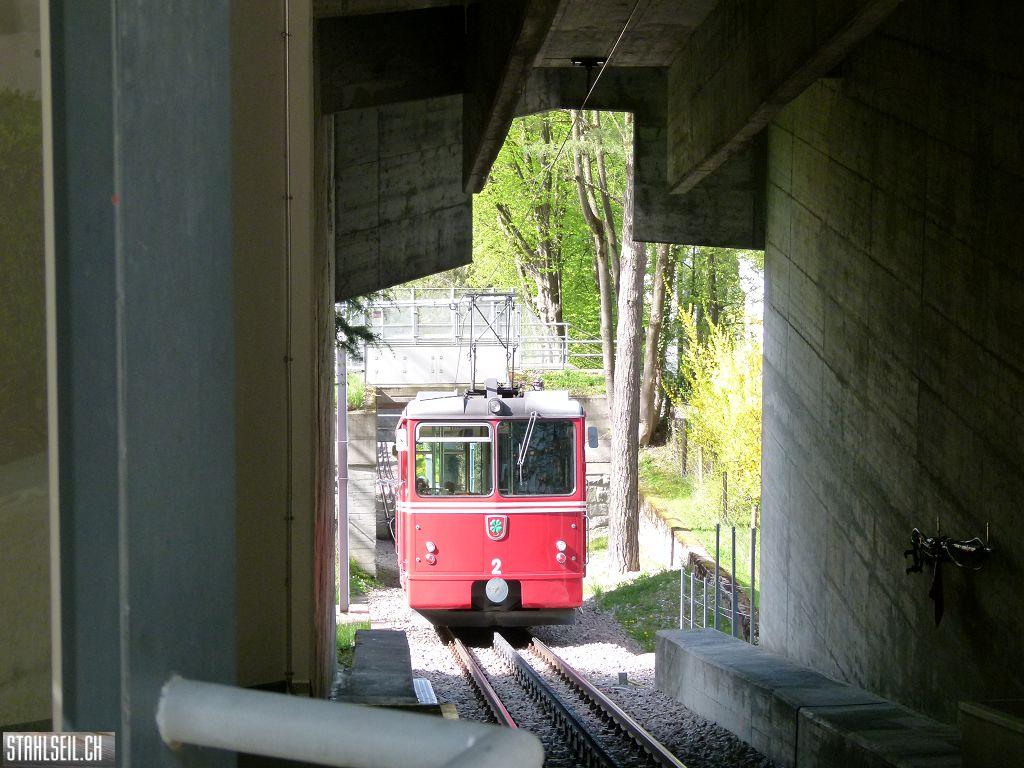 k-P1090894.JPG