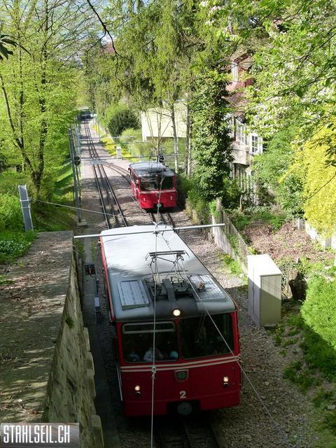 k-P1090917.JPG