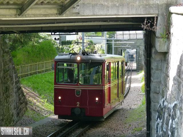 k-P1090933.JPG