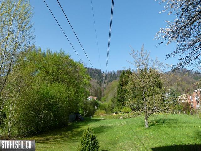 k-P1330478.JPG