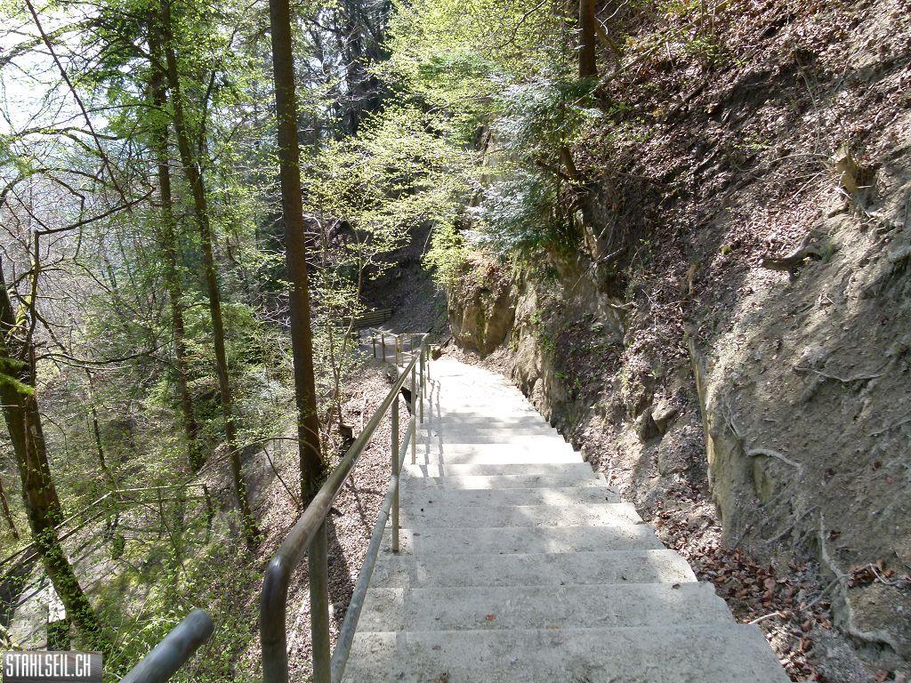 k-P1330540.JPG
