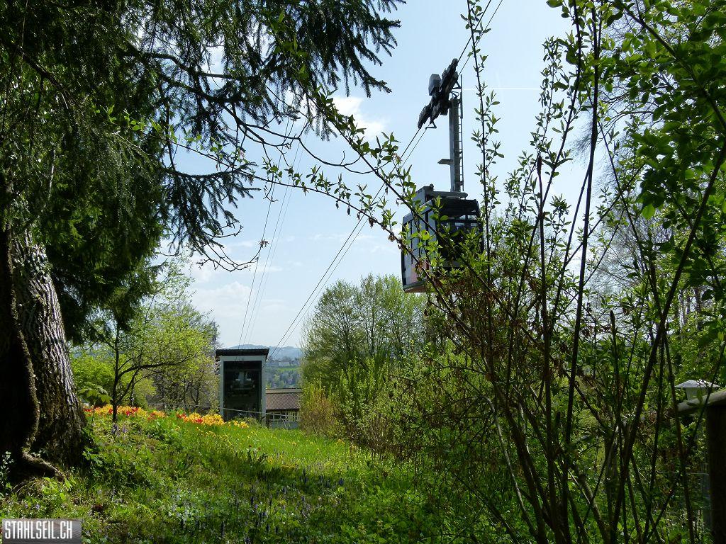 k-P1330572.JPG