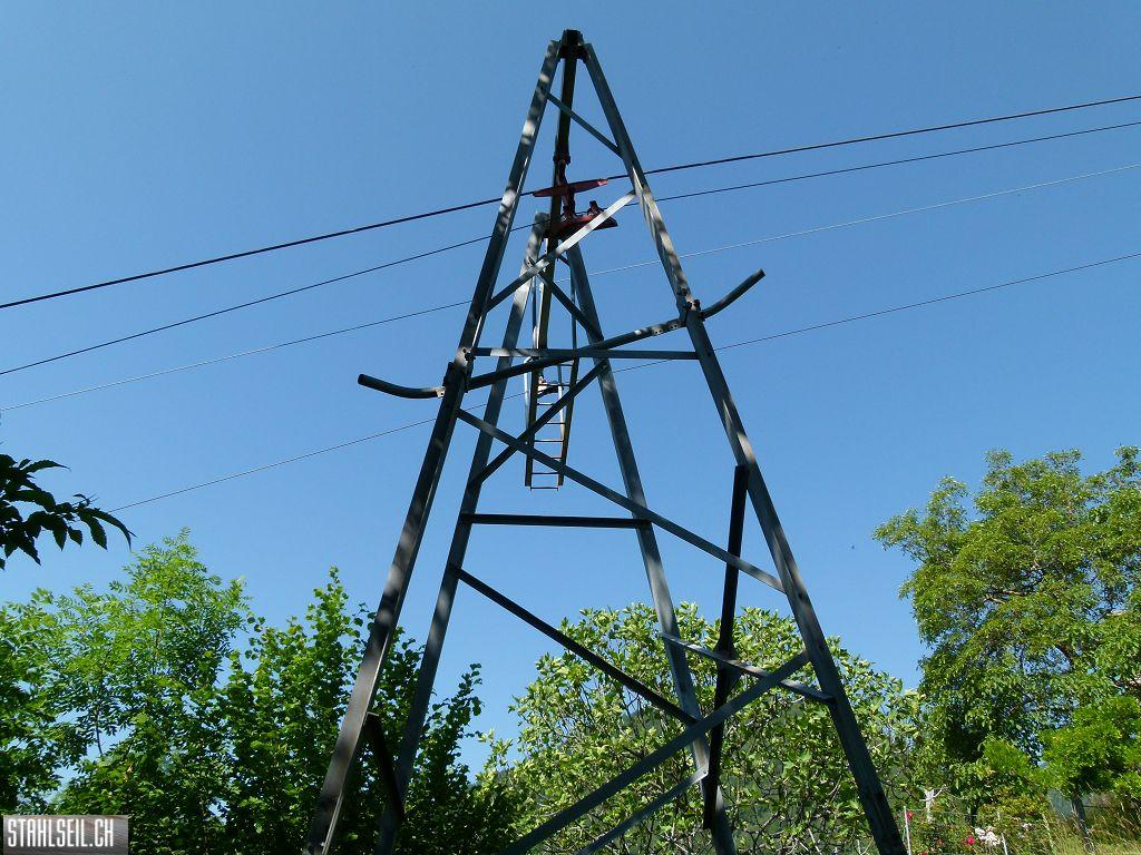 k-P1350817.JPG