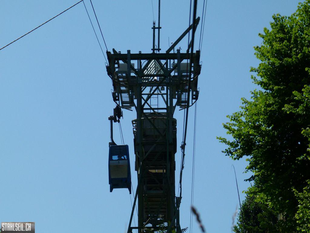 k-P1360066.JPG