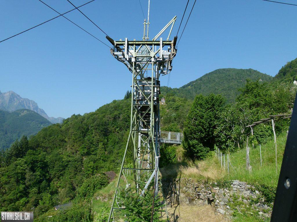 k-P1350766.JPG
