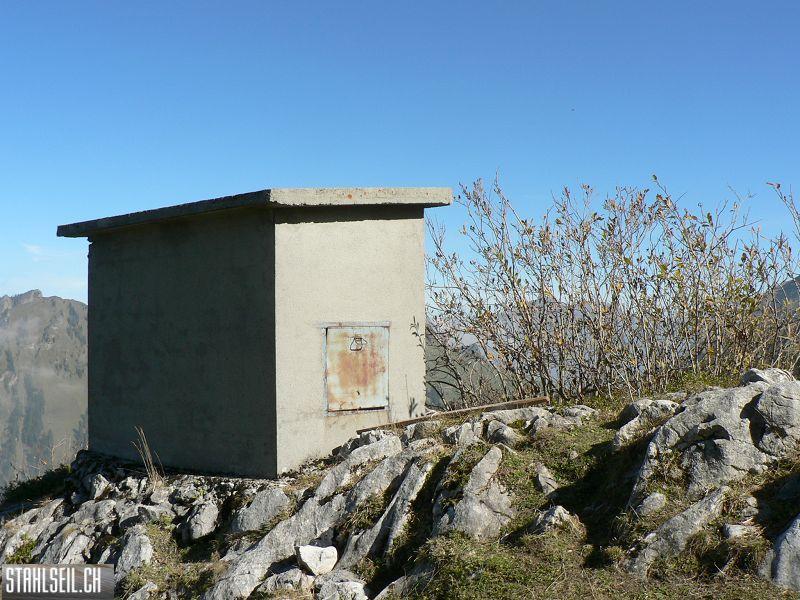 k-P1460248.JPG