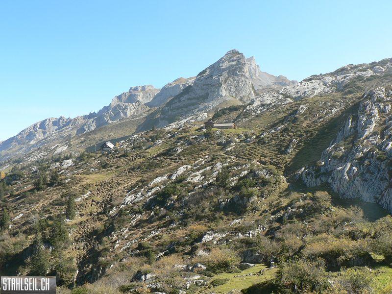 k-P1460253.JPG