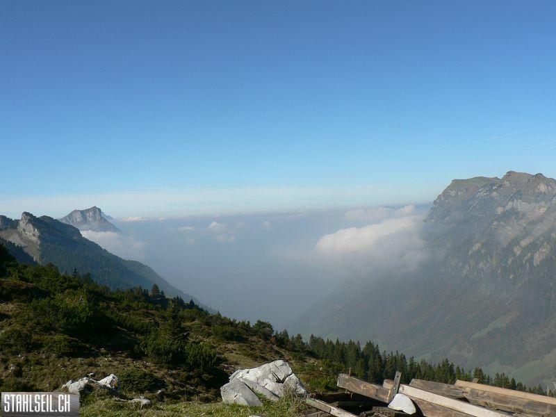 k-P1460269.JPG