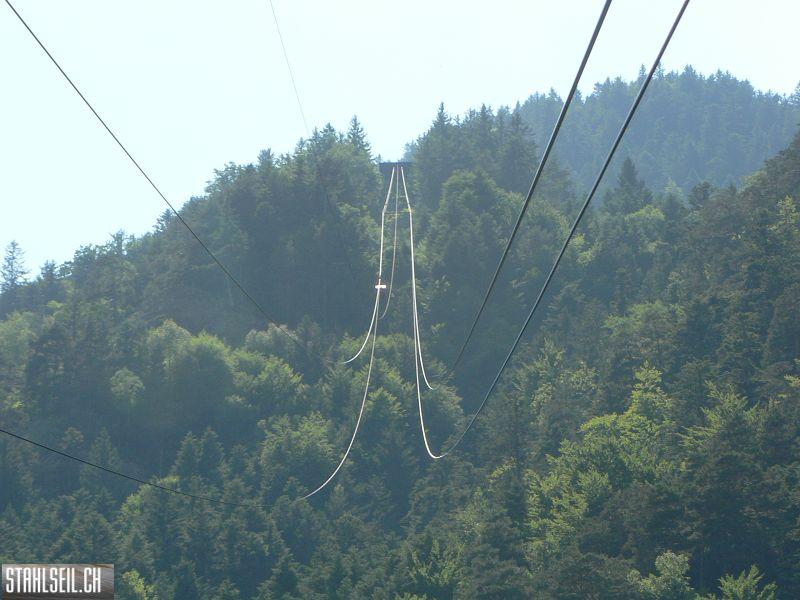 k-P1690822.JPG