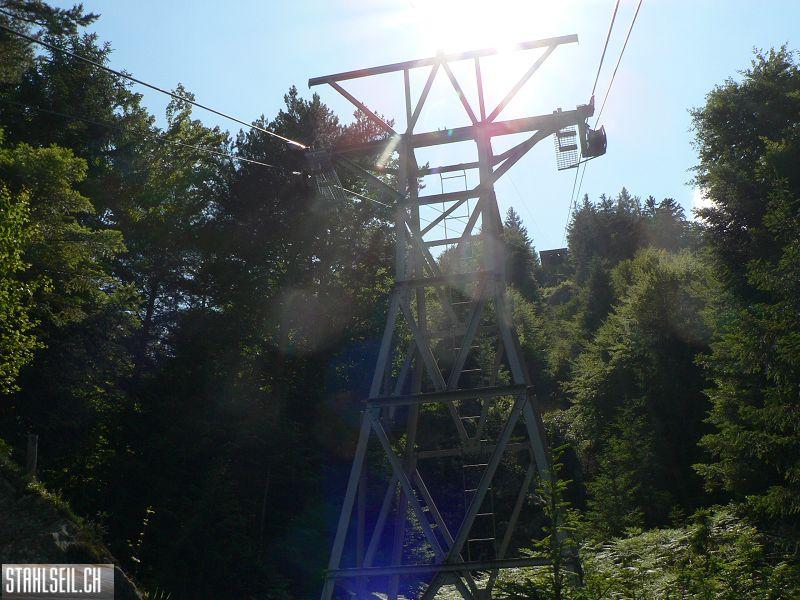 k-P1690839.JPG