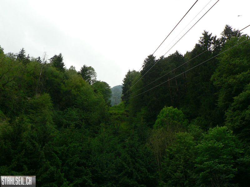 k-P1030446.JPG