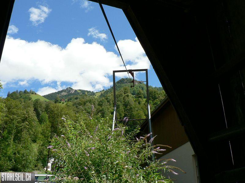k-P1100717.JPG