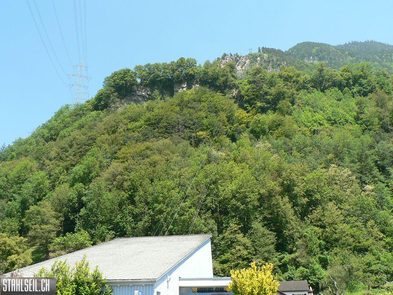 k-P1030018.JPG
